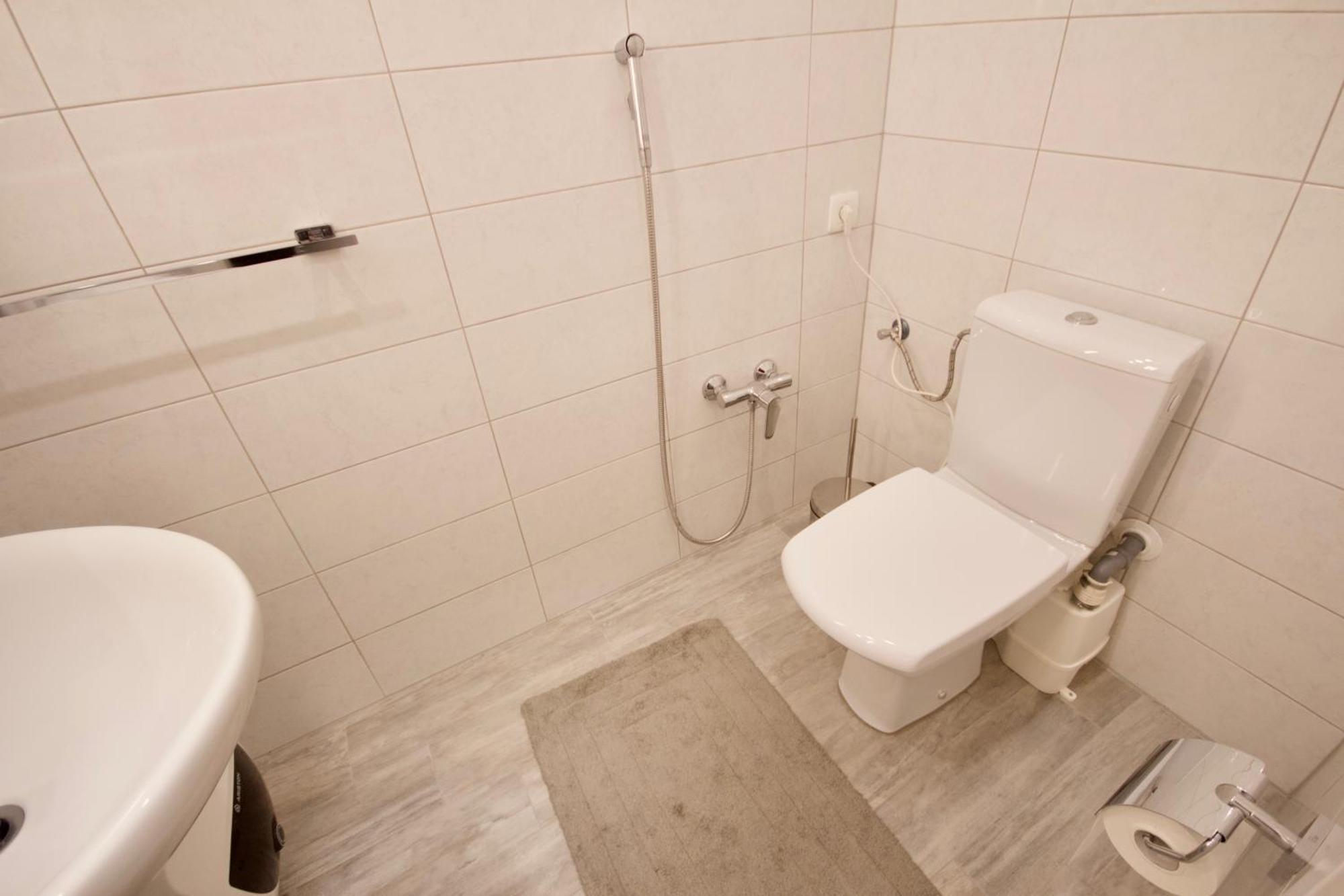 Albina Apartment リュブリャナ エクステリア 写真